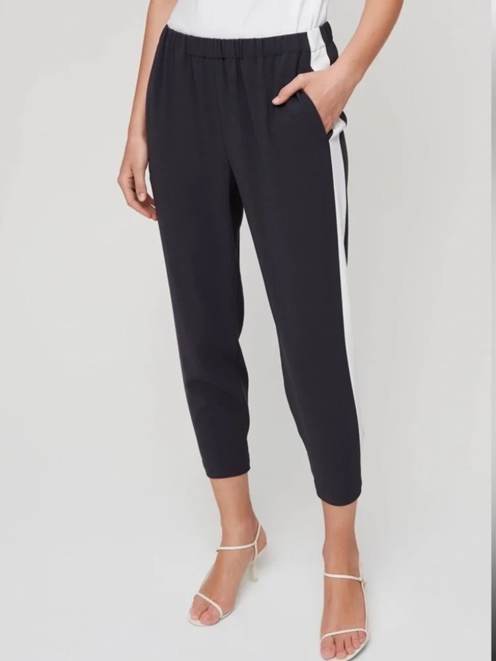 Babaton Aritzia Dexter Tuxedo Pant